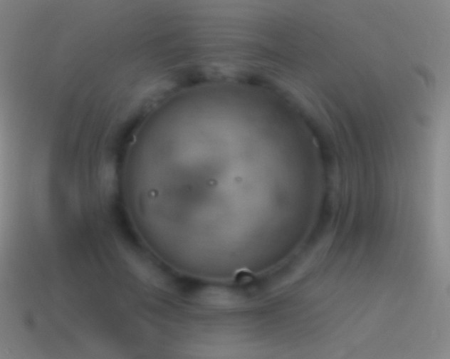 X0000115590699200911101238