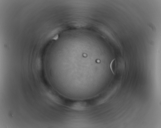 X0000115590700200911101238