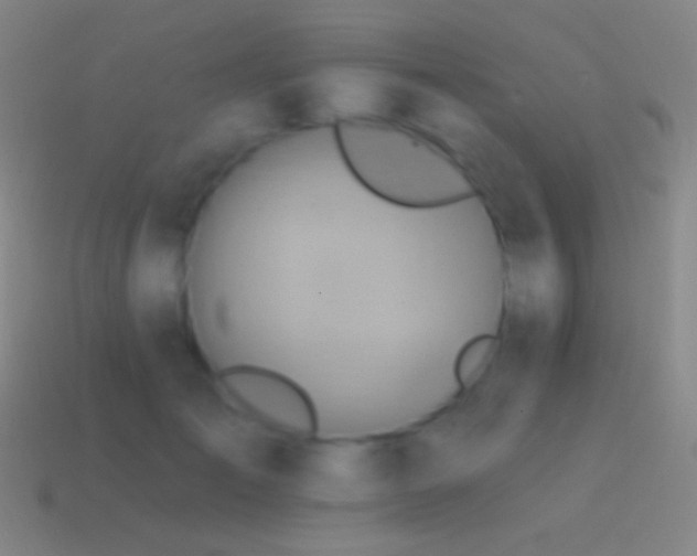 X0000115590701200911101238