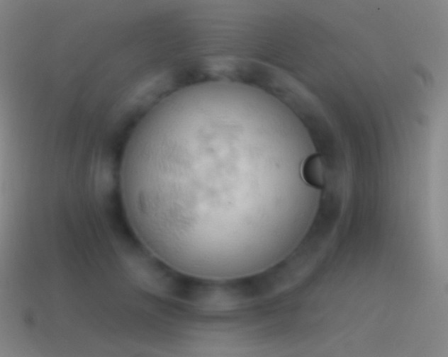 X0000115590702200911101238