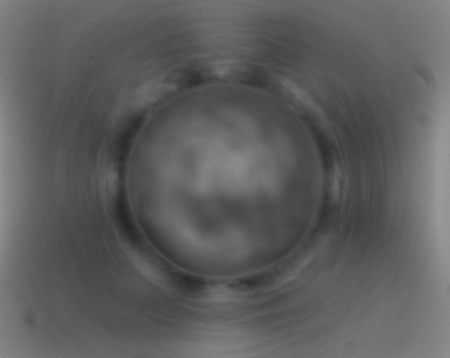 X0000115590703200911101238