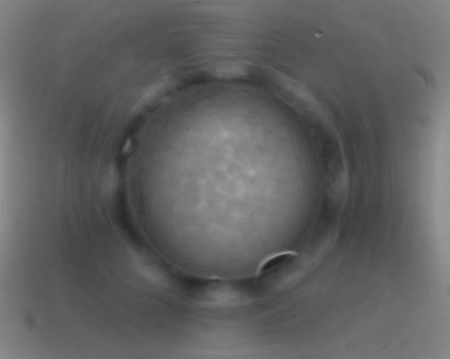 X0000115590704200911101238