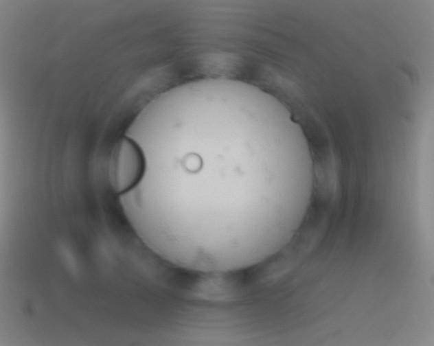 X0000115590705200911101238