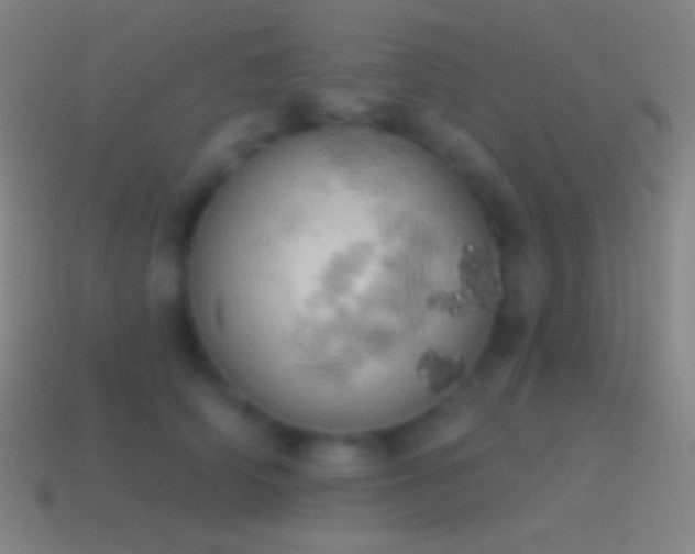 X0000115590706200911101238