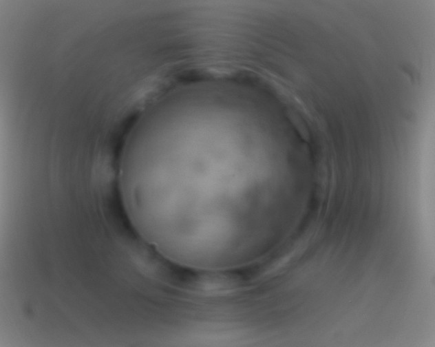 X0000115590707200911101238