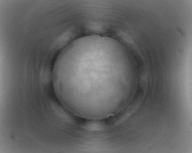 X0000115590708200911101238