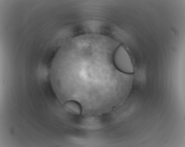 X0000115590709200911101238