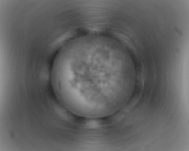 X0000115590710200911101238