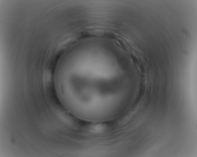 X0000115590711200911101238