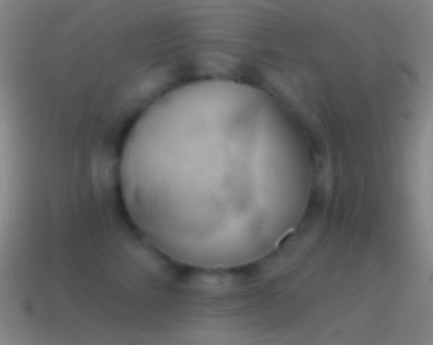 X0000115590712200911101238