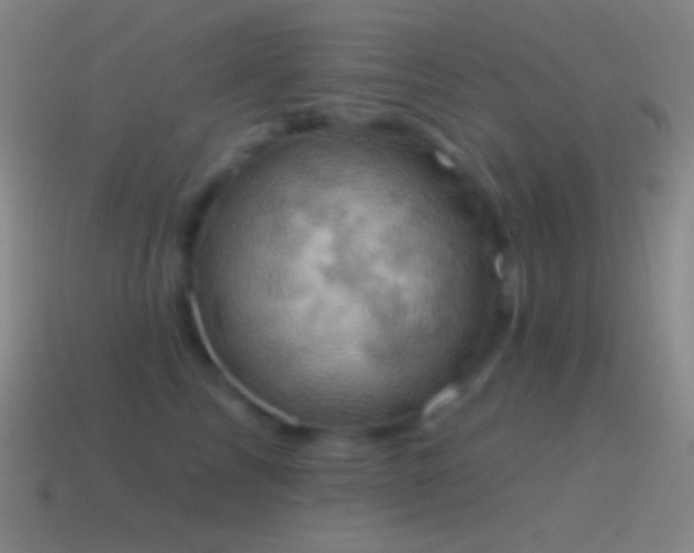 X0000115590713200911101238