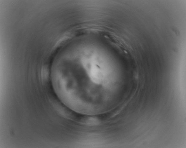 X0000115590715200911101238