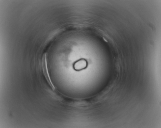 X0000115590716200911101238