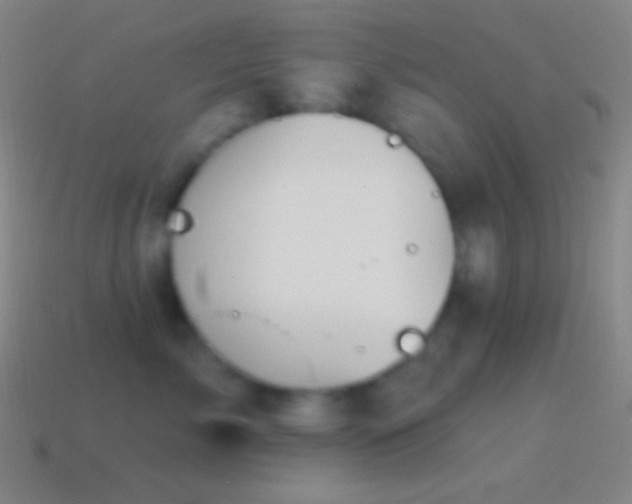 X0000115590717200911101238