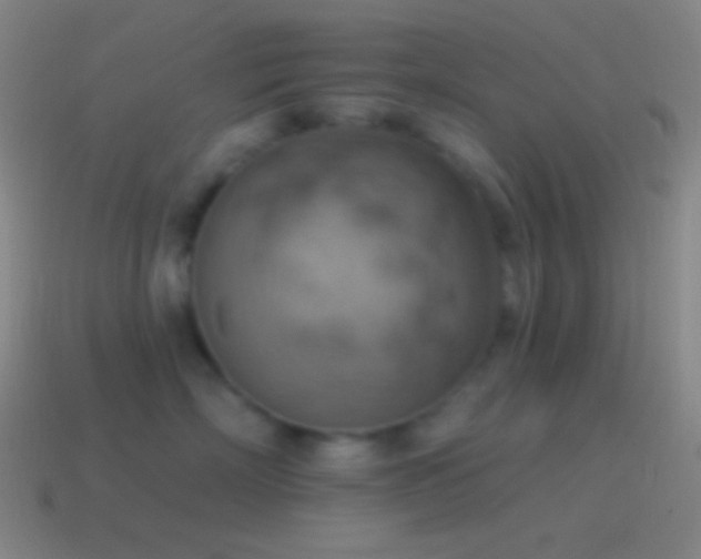 X0000115590718200911101238