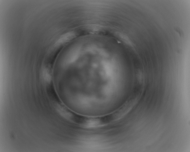 X0000115590719200911101238