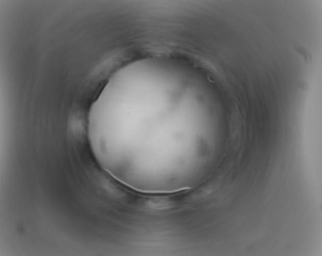 X0000115590720200911101238