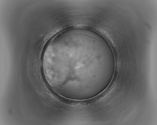 X0000115590721200911101237