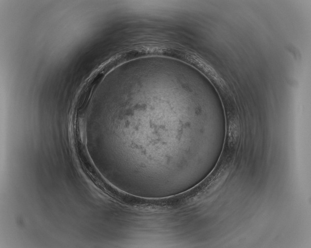 X0000115590722200911101237