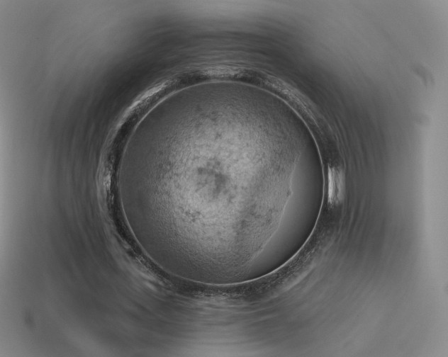 X0000115590723200911101237