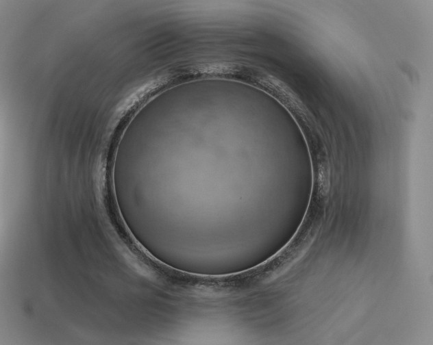 X0000115590725200911101237