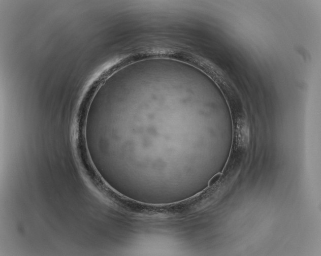 X0000115590726200911101237