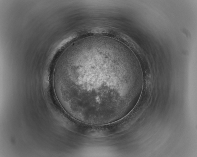 X0000115590727200911101237