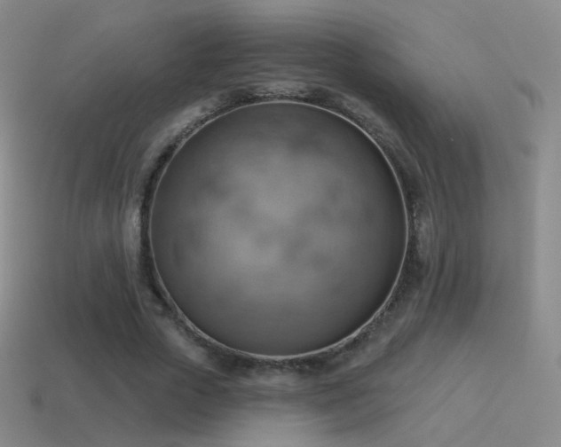 X0000115590729200911101238