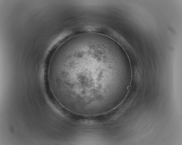 X0000115590730200911101238