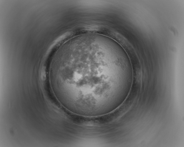 X0000115590731200911101238