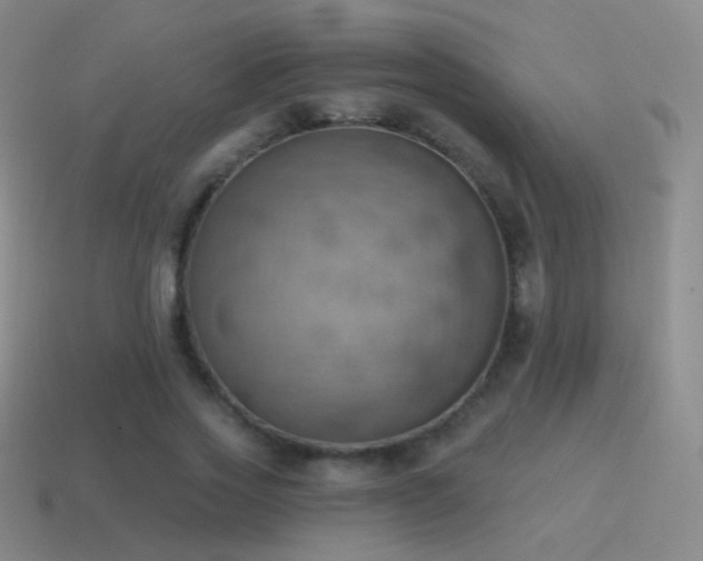 X0000115590733200911101238