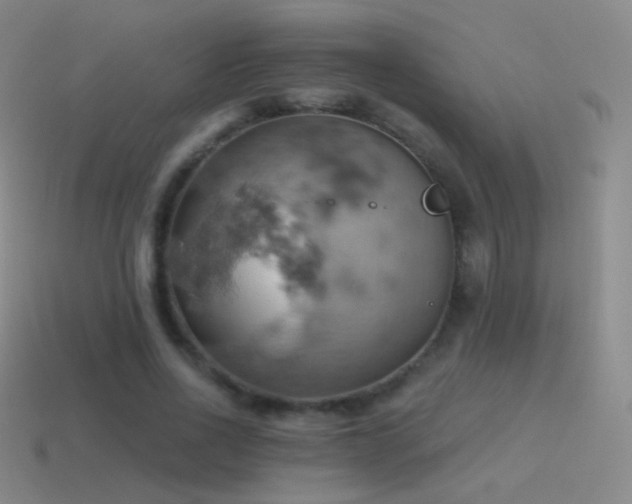 X0000115590734200911101238