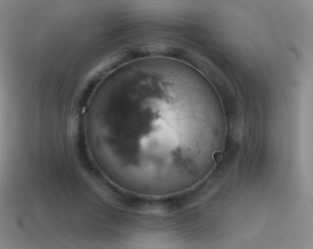 X0000115590735200911101238