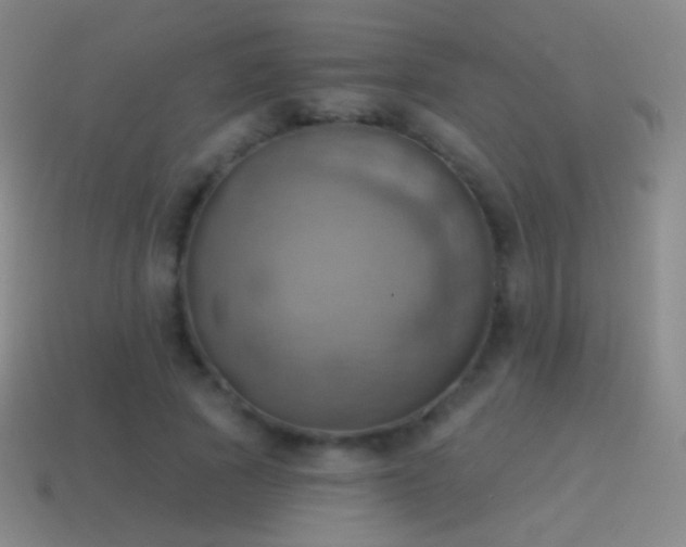 X0000115590737200911101238