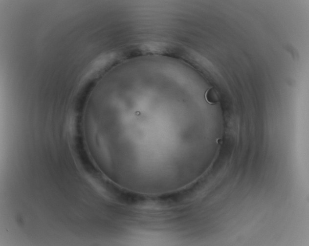 X0000115590738200911101238