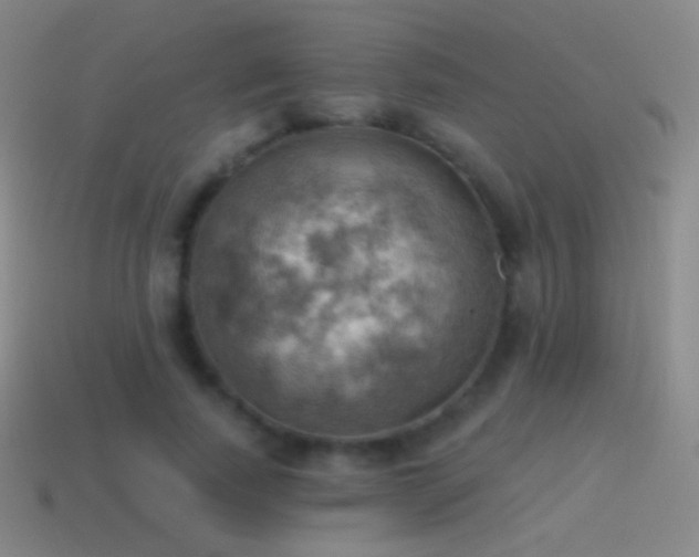 X0000115590739200911101238