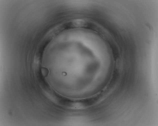 X0000115590741200911101238