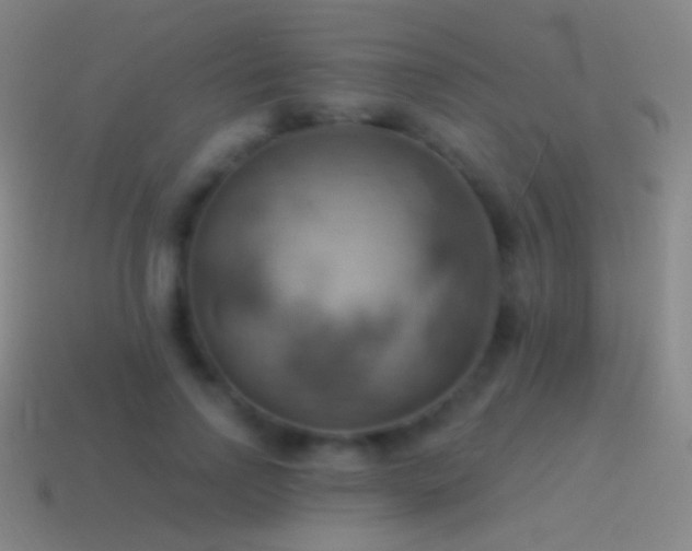 X0000115590742200911101238