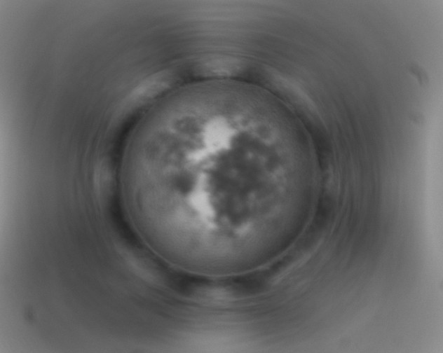 X0000115590743200911101238