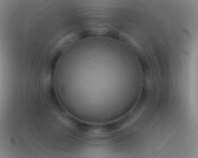 X0000115590745200911101238