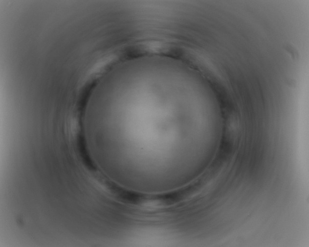 X0000115590746200911101238