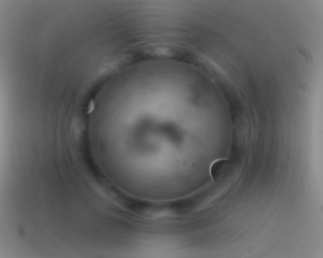 X0000115590747200911101238