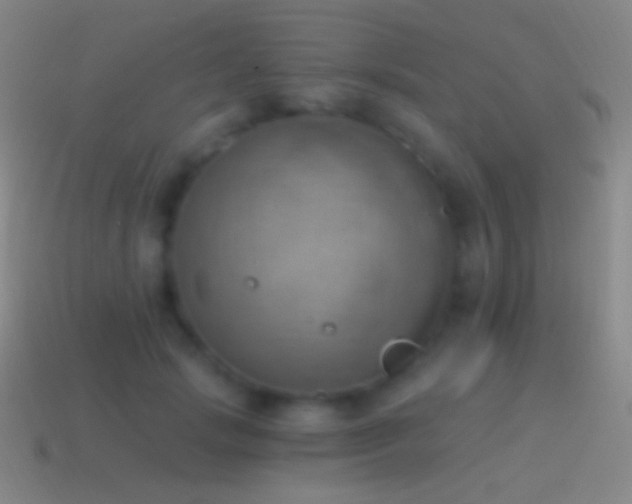 X0000115590749200911101238