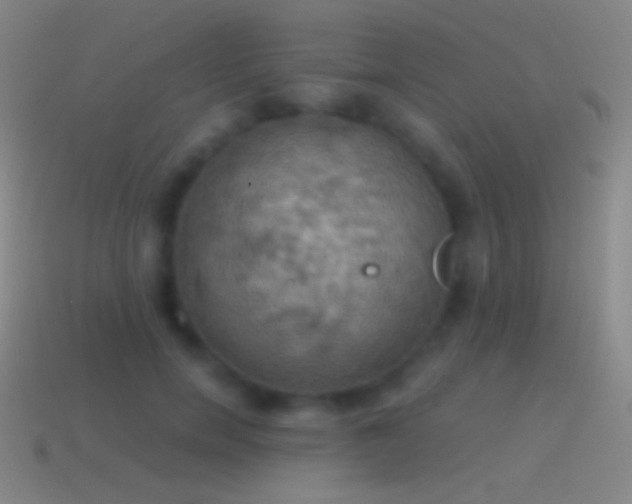 X0000115590750200911101238