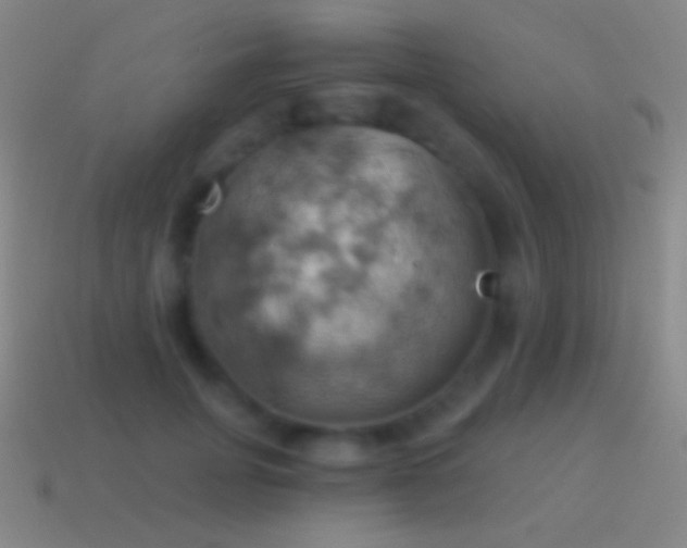 X0000115590751200911101238