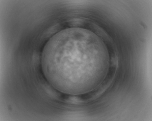 X0000115590753200911101238