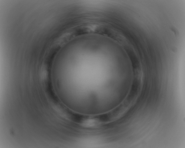 X0000115590754200911101238