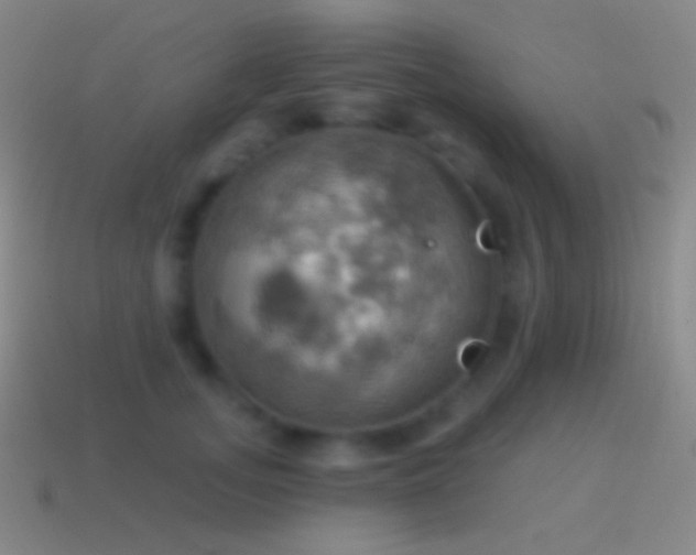 X0000115590755200911101238