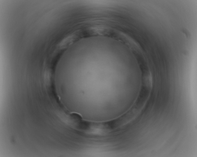 X0000115590757200911101238