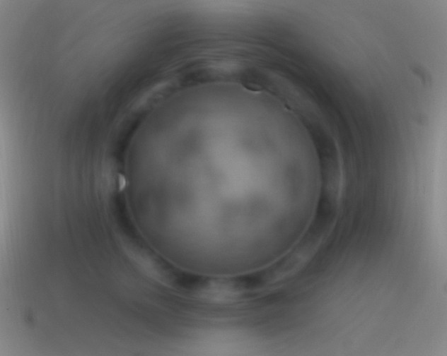 X0000115590758200911101238